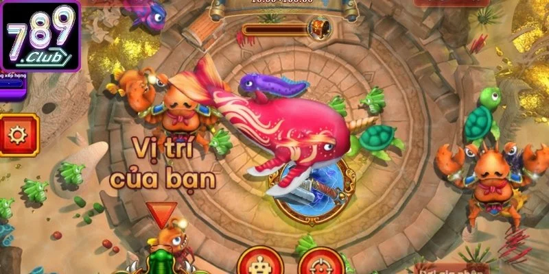 Từng giai đoạn kiểm soát đạn phù hợp